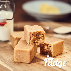 fudge-promo3